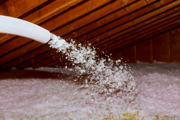 Best Insulation Inspection Services  in Laramie, WY