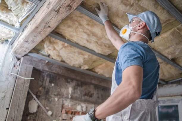 Best Best Insulation Companies  in Laramie, WY
