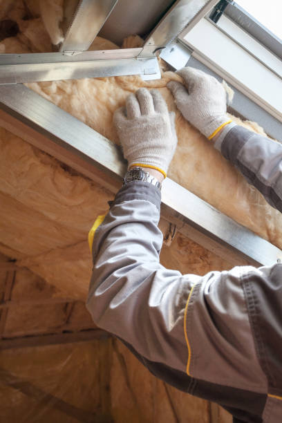 Best Energy-efficient Insulation  in Laramie, WY