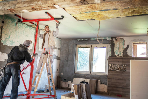 Best Insulation Replacement Services  in Laramie, WY