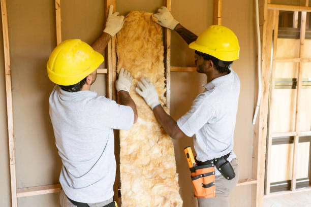 Best Insulation Contractors for Homes  in Laramie, WY