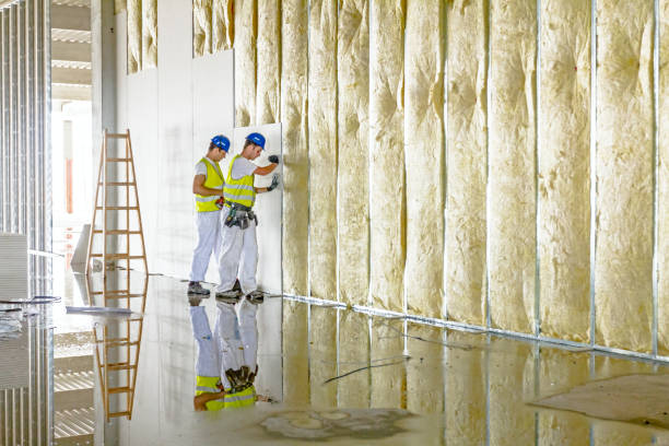 Best Crawl Space Insulation  in Laramie, WY